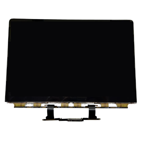 DISPLAY - PANNELLO LCD MACBOOK AIR RETINA 13" A2179 (NO SCOCCA)